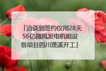 洽谈到签约仅用28天 56亿微风发电机组设备项目四川蓬溪开工