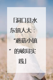 洞口县水东镇人大：“蘑菇小镇”的破局实践