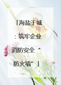 海盐于城：筑牢企业消防安全“防火墙”