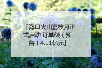 海口火山荔枝月正式启动 订单额（预售）4.11亿元