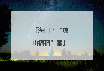 海口：“琼山福稻”香