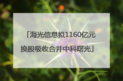 海光信息拟1160亿元换股吸收合并中科曙光