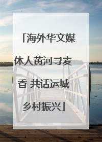 海外华文媒体人黄河寻麦香 共话运城乡村振兴