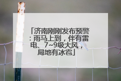 济南刚刚发布预警：雨马上到，伴有雷电、7~9级大风，局地有冰雹