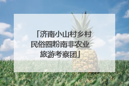 济南小山村乡村民俗圈粉南非农业旅游考察团