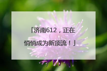 济南612，正在悄悄成为新顶流！