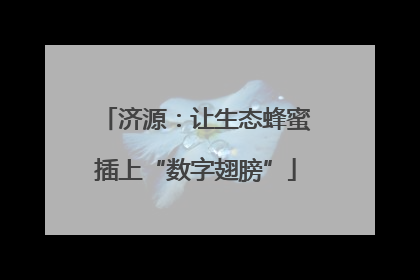 济源：让生态蜂蜜插上“数字翅膀”