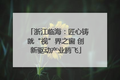 浙江临海：匠心铸就“视”界之窗 创新驱动产业腾飞
