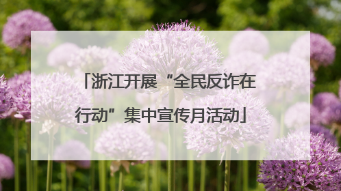 浙江开展“全民反诈在行动”集中宣传月活动
