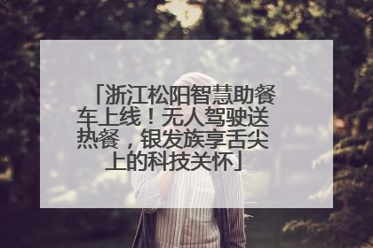 浙江松阳智慧助餐车上线！无人驾驶送热餐，银发族享舌尖上的科技关怀