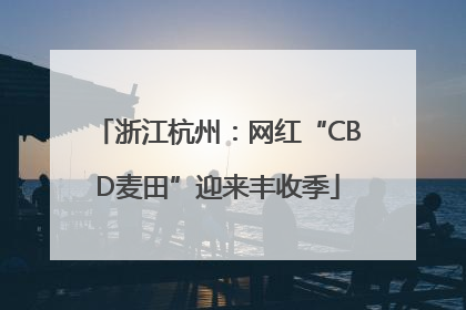 浙江杭州：网红“CBD麦田”迎来丰收季