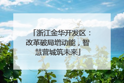 浙江金华开发区：改革破局增动能，智慧营城筑未来
