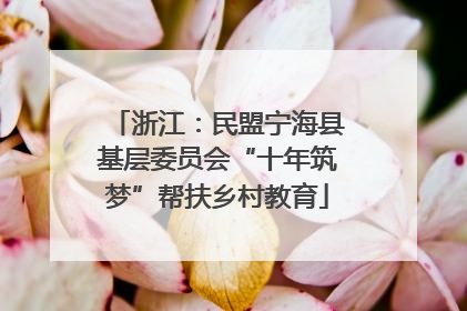 浙江：民盟宁海县基层委员会“十年筑梦”帮扶乡村教育