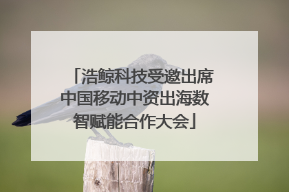 浩鲸科技受邀出席中国移动中资出海数智赋能合作大会