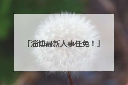淄博最新人事任免！