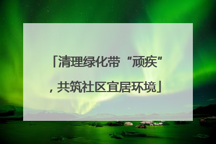 清理绿化带“顽疾”，共筑社区宜居环境