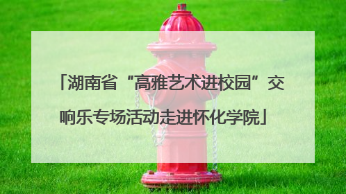 湖南省“高雅艺术进校园”交响乐专场活动走进怀化学院