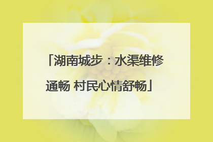 湖南城步：水渠维修通畅 村民心情舒畅