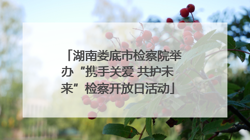 湖南娄底市检察院举办“携手关爱 共护未来”检察开放日活动
