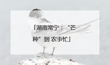湖南常宁：“芒种”到 农事忙