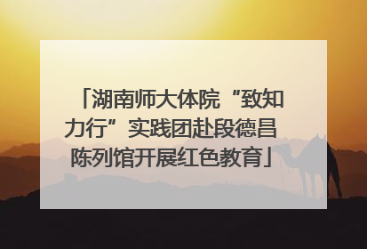 湖南师大体院“致知力行”实践团赴段德昌陈列馆开展红色教育