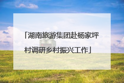 湖南旅游集团赴杨家坪村调研乡村振兴工作