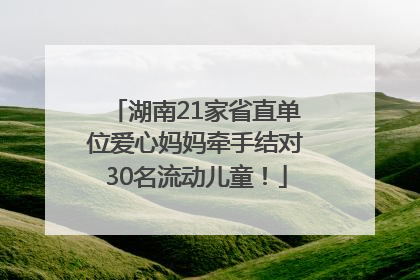 湖南21家省直单位爱心妈妈牵手结对30名流动儿童！