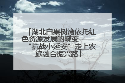湖北白果树湾依托红色资源发展的蝶变——“抗战小延安”走上农旅融合振兴路