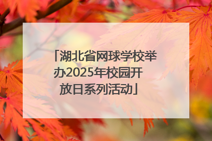 湖北省网球学校举办2025年校园开放日系列活动