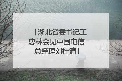 湖北省委书记王忠林会见中国电信总经理刘桂清