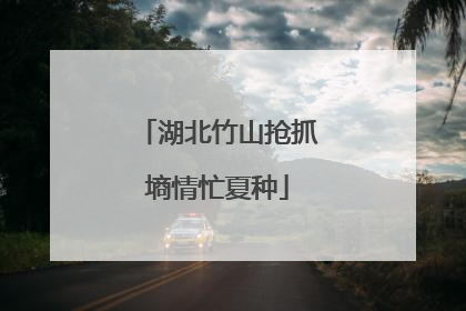 湖北竹山抢抓墒情忙夏种
