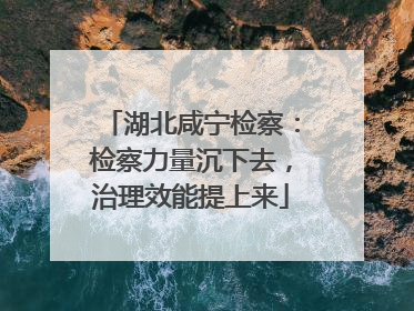 湖北咸宁检察：检察力量沉下去，治理效能提上来