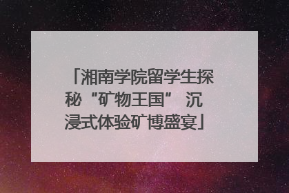 湘南学院留学生探秘“矿物王国” 沉浸式体验矿博盛宴