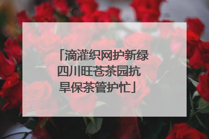 滴灌织网护新绿 四川旺苍茶园抗旱保茶管护忙