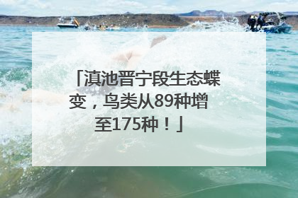 滇池晋宁段生态蝶变，鸟类从89种增至175种！