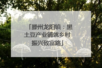 滕州龙阳镇：黑土豆产业铺就乡村振兴致富路