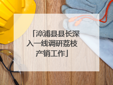 漳浦县县长深入一线调研荔枝产销工作