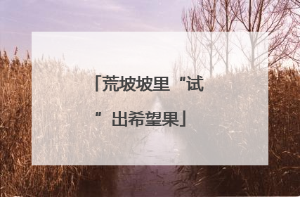 荒坡坡里“试”出希望果