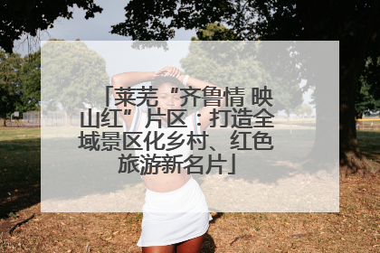 莱芜“齐鲁情 映山红”片区：打造全域景区化乡村、红色旅游新名片