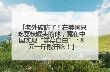 老外破防了！在美国只吃荔枝罐头的他，竟在中国实现“鲜荔自由”：8元一斤敞开吃！