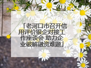 老河口市召开信用评价银企对接工作座谈会 助力企业破解融资难题