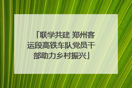 联学共建 郑州客运段高铁车队党员干部助力乡村振兴