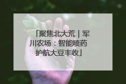 聚焦北大荒｜军川农场：智能喷药护航大豆丰收