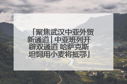 聚焦武汉中亚外贸新通道│中亚班列开辟双通道 哈萨克斯坦饲用小麦将抵鄂