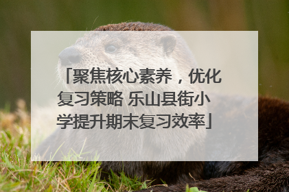 聚焦核心素养，优化复习策略 乐山县街小学提升期末复习效率