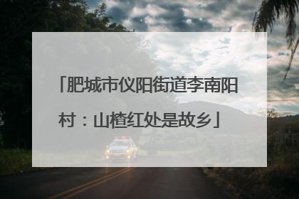 肥城市仪阳街道李南阳村:山楂红处是故乡