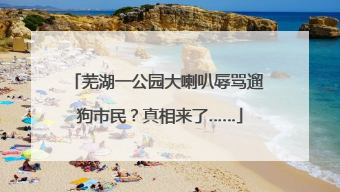 芜湖一公园大喇叭辱骂遛狗市民？真相来了……