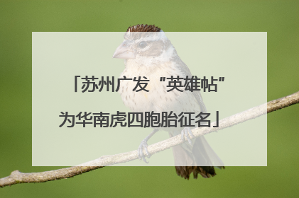 苏州广发“英雄帖”为华南虎四胞胎征名