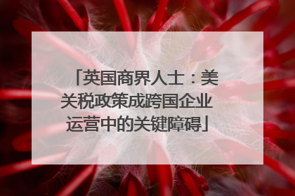 英国商界人士：美关税政策成跨国企业运营中的关键障碍