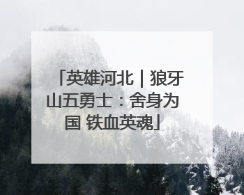 英雄河北｜狼牙山五勇士：舍身为国 铁血英魂
